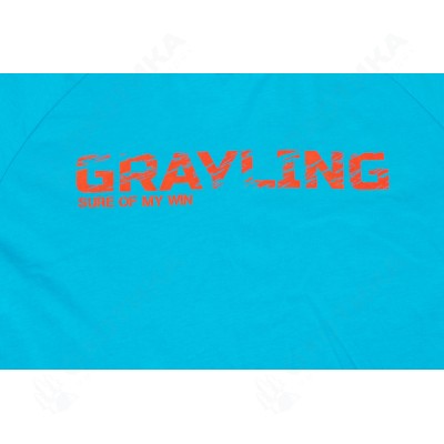 Футболка GRAYLING Sure of my win (хлопок, бирюзовый) GRTS-11TRQ