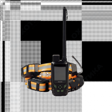 Artelv Tracker
