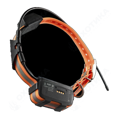 Artelv Tracker 2W