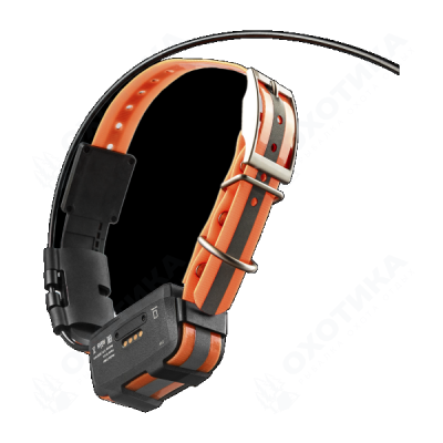 Artelv Tracker 2W