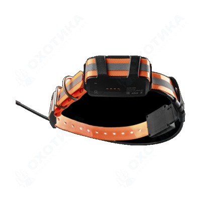 Artelv Tracker 2W