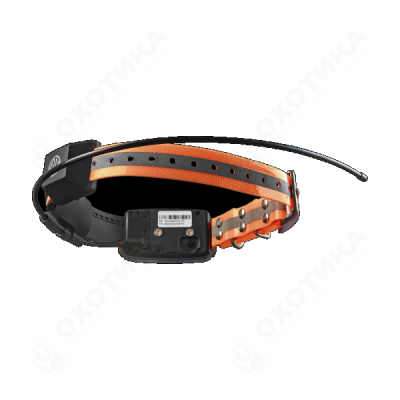 Artelv Tracker 2W