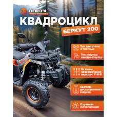 Квадроцикл BAIKAL БЕРКУТ 200 оранжевый