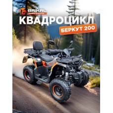 Квадроцикл BAIKAL БЕРКУТ 200 оранжевый