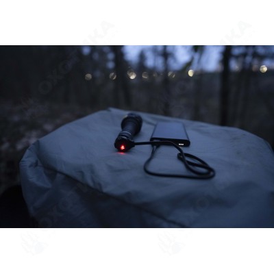 Armytek Bear WRG
