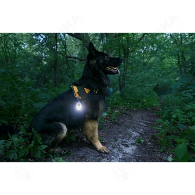 Armytek Crystal Pro IR Grey