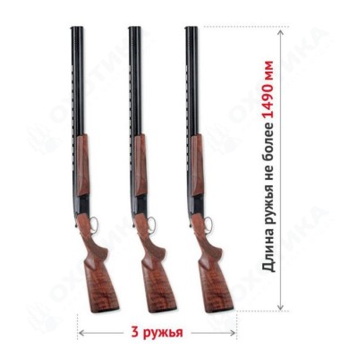 Оружейный сейф Stalker S16